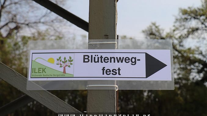 Blütenwegfest 2019 Großsachen, Lützelsachsen, Schriesheim, Dossenheim Blütenwegfest 2019 Großsachen, Lützelsachsen, Schriesheim, Dossenheim