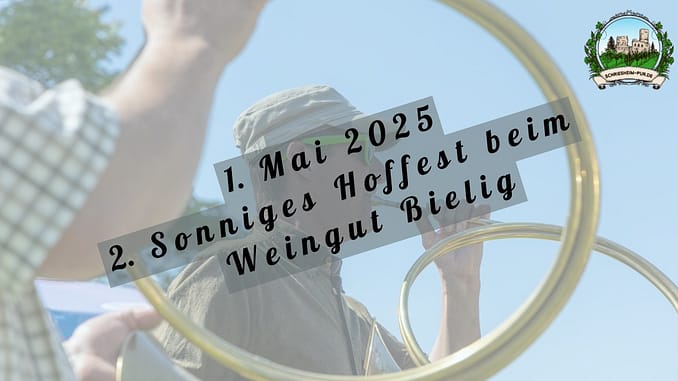 Sonniges Hoffest beim Weingut Bielig